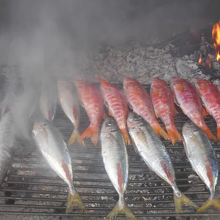 Jerkin Apartman Tribalj