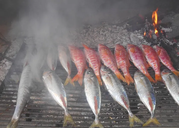 Jerkin Appartement Tribalj