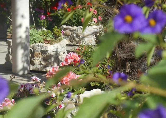 Jerkin Appartement *