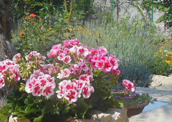 Appartement Jerkin *